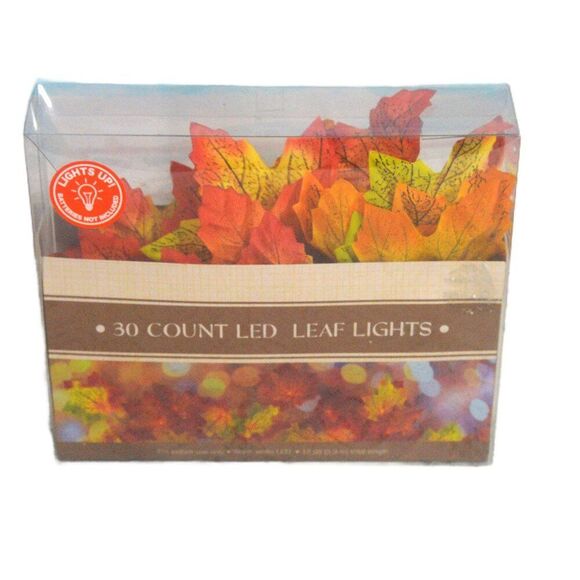 Sonoma Leaf Frame and LED Leaf Lights Bundle Fall Decor - Picture 3 of 3